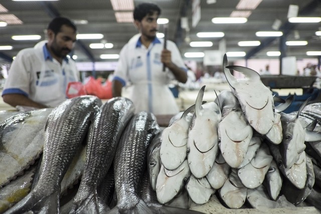 Deira Fish Market