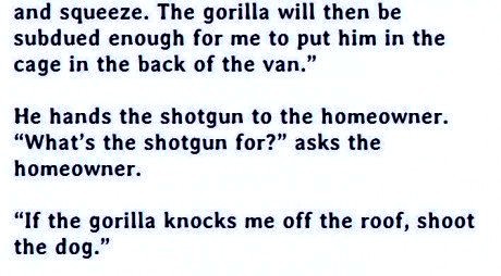 a wake up to find a gorilla on his roof