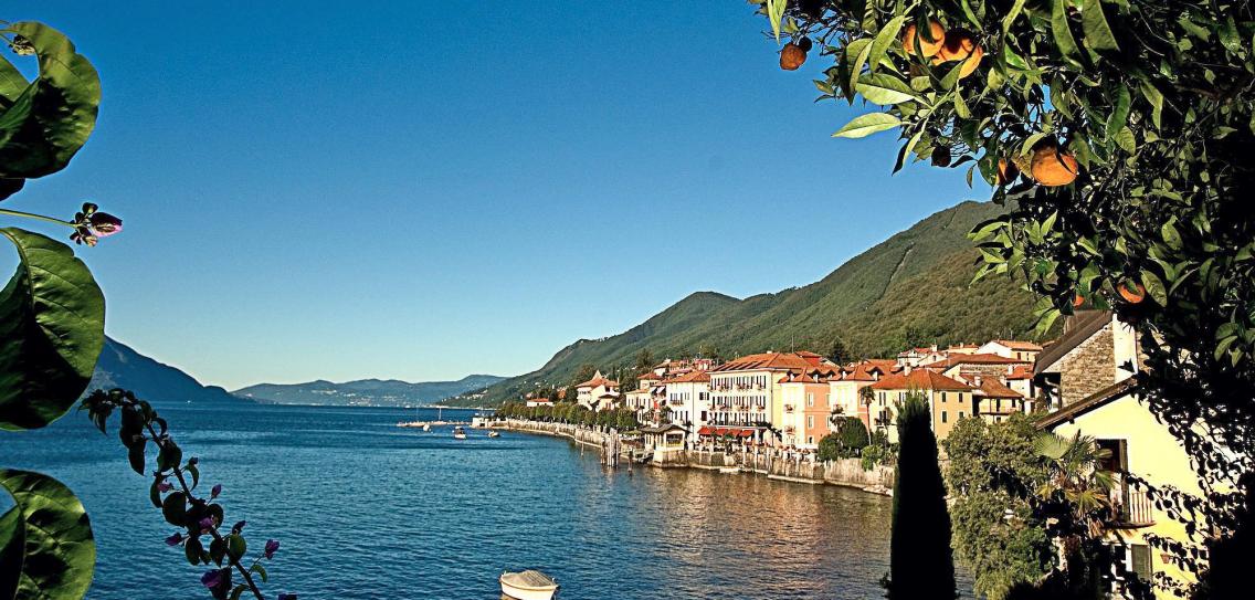 In spring, the fruits on Lake Maggiore radiate