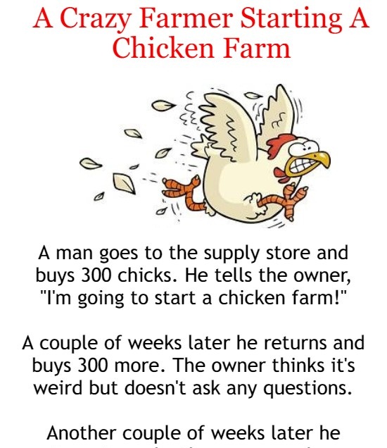 A Crazy Farmer Starting A Chicken Farm