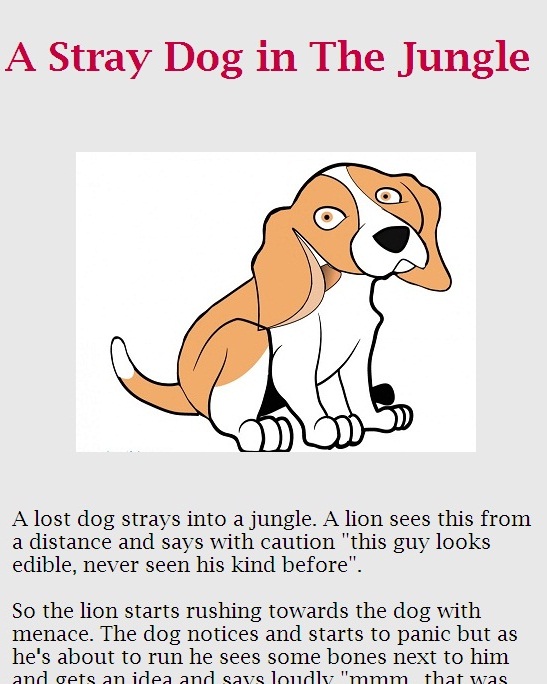 A Stray Dog in The Jungle