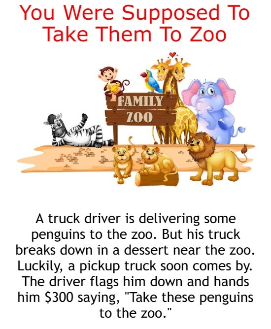 You Were Supposed To Take Them To Zoo