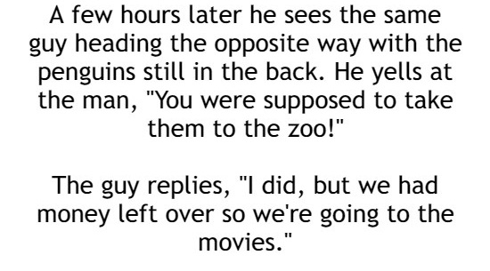 You Were Supposed To Take Them To Zoo