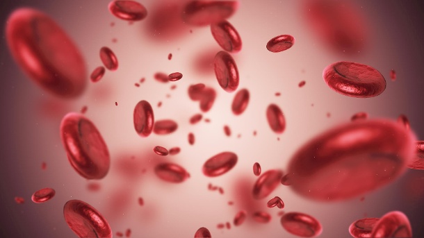 Blood thinners do not dilute blood