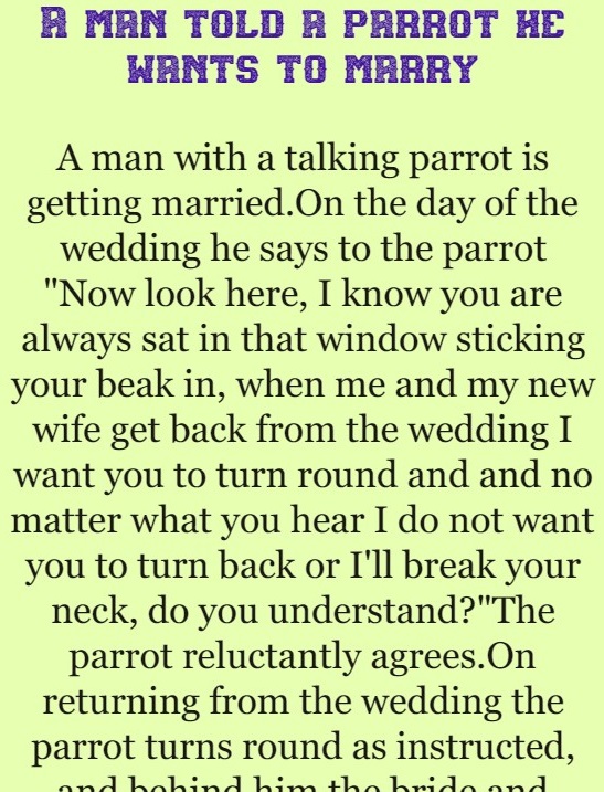 A man told a parrot he wants to marry