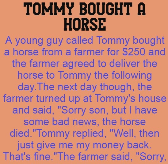 Tommy Bought A Horse