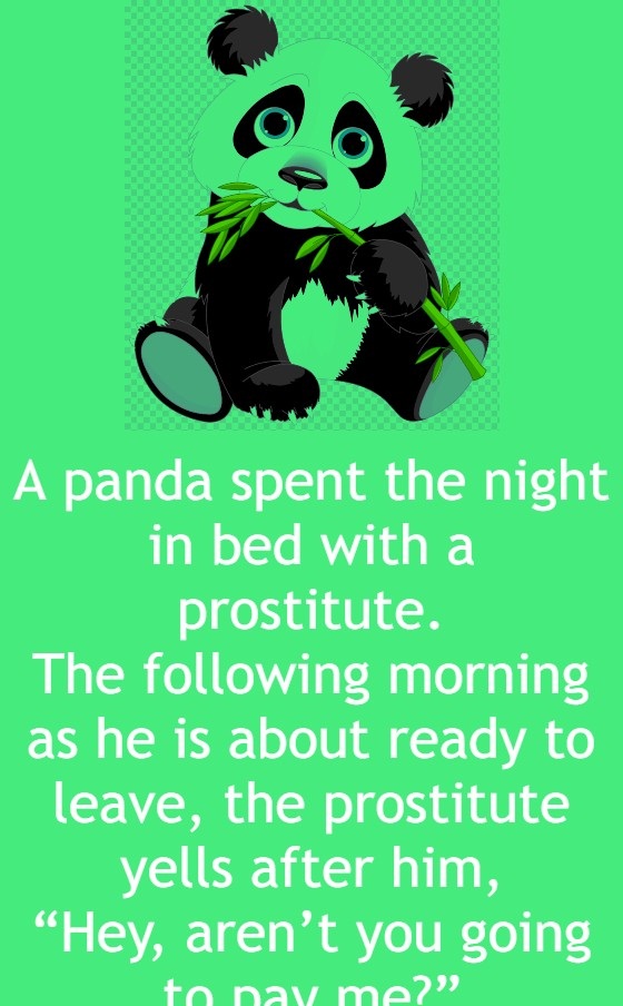 A panda spent the night in bed