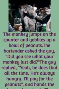 A guy and his monkey walk into a bar - Funny Jokes and Story | Humors ...