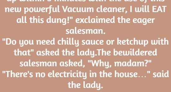 A new vacuum cleaner salesman knocked on the door