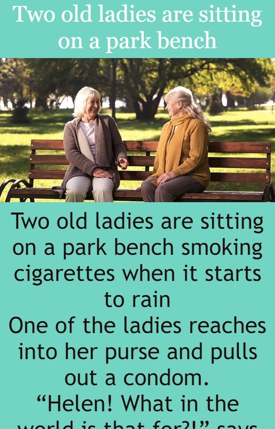 Two old ladies are sitting on a park bench