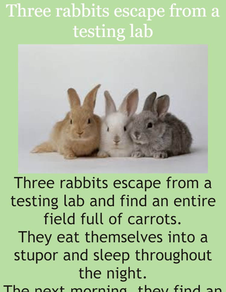 Three rabbits escape from a testing lab