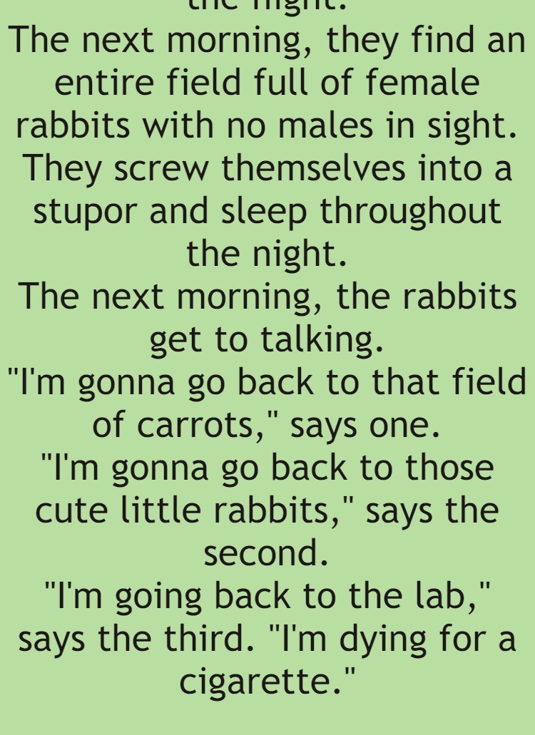 Three rabbits escape from a testing lab