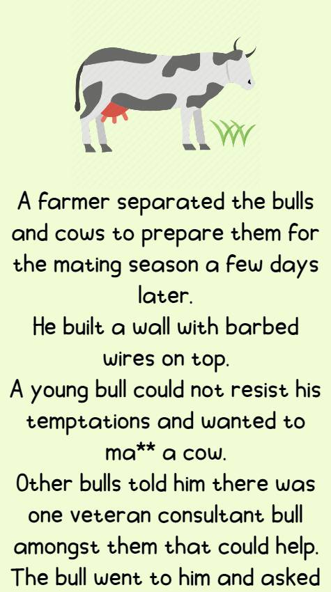 A farmer separated the bulls
