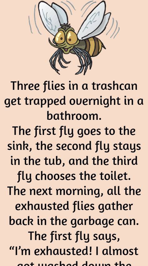 Three flies in a trashcan get trapped 1