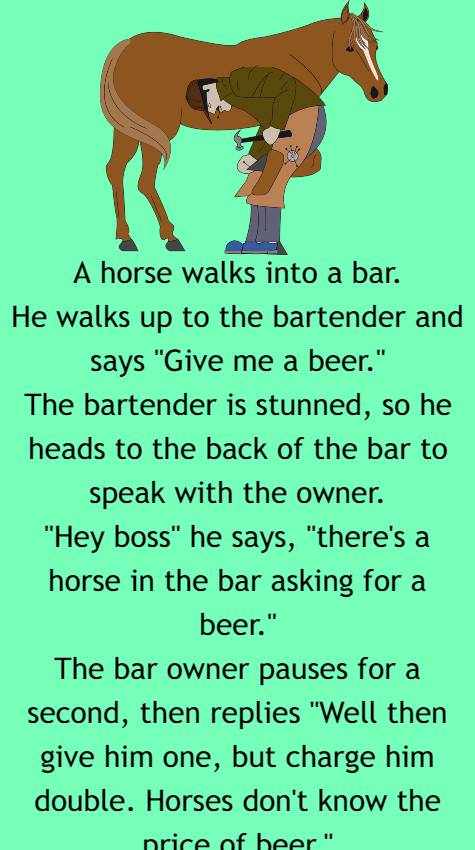 A horse walks into a bar