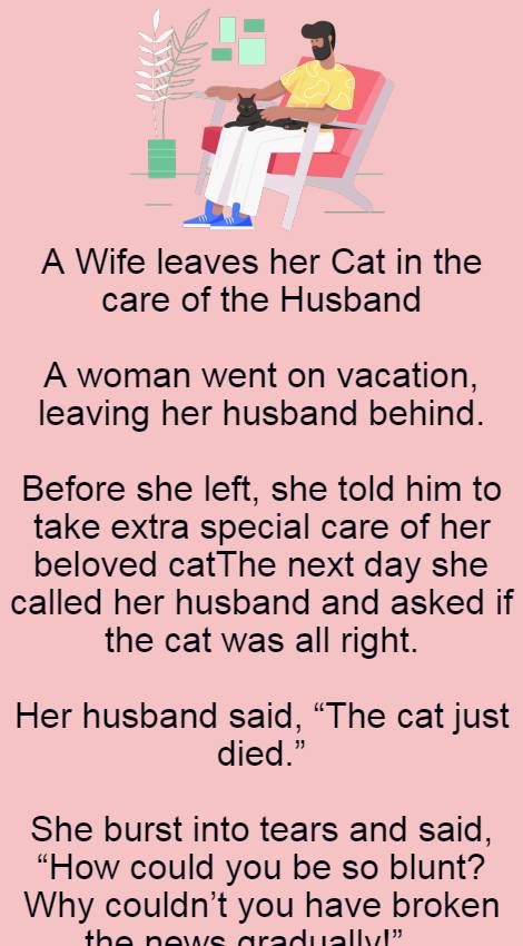 A Wife leaves her Cat in the care