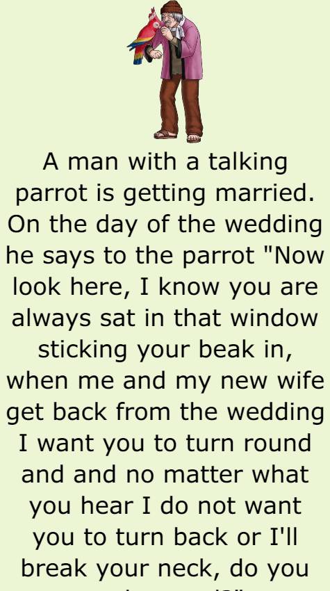 A man with a talking parrot is getting married