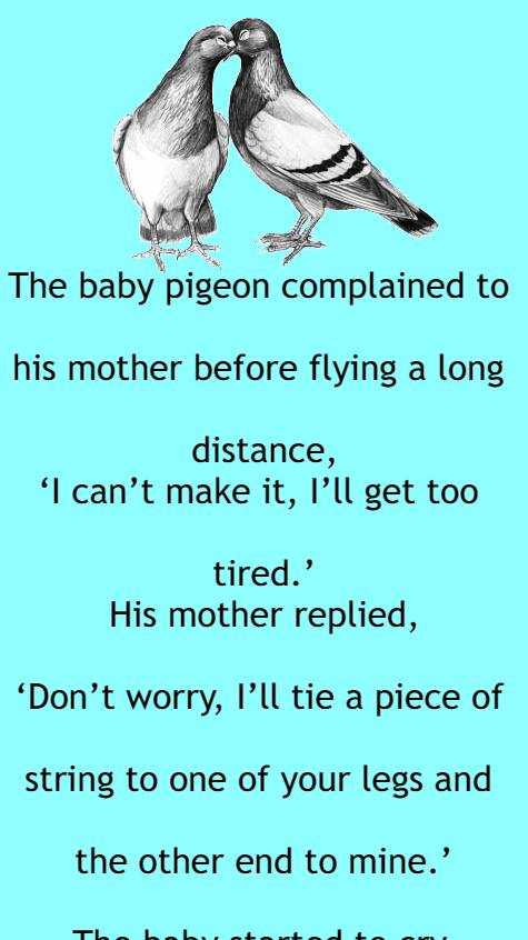 The baby pigeon complained
