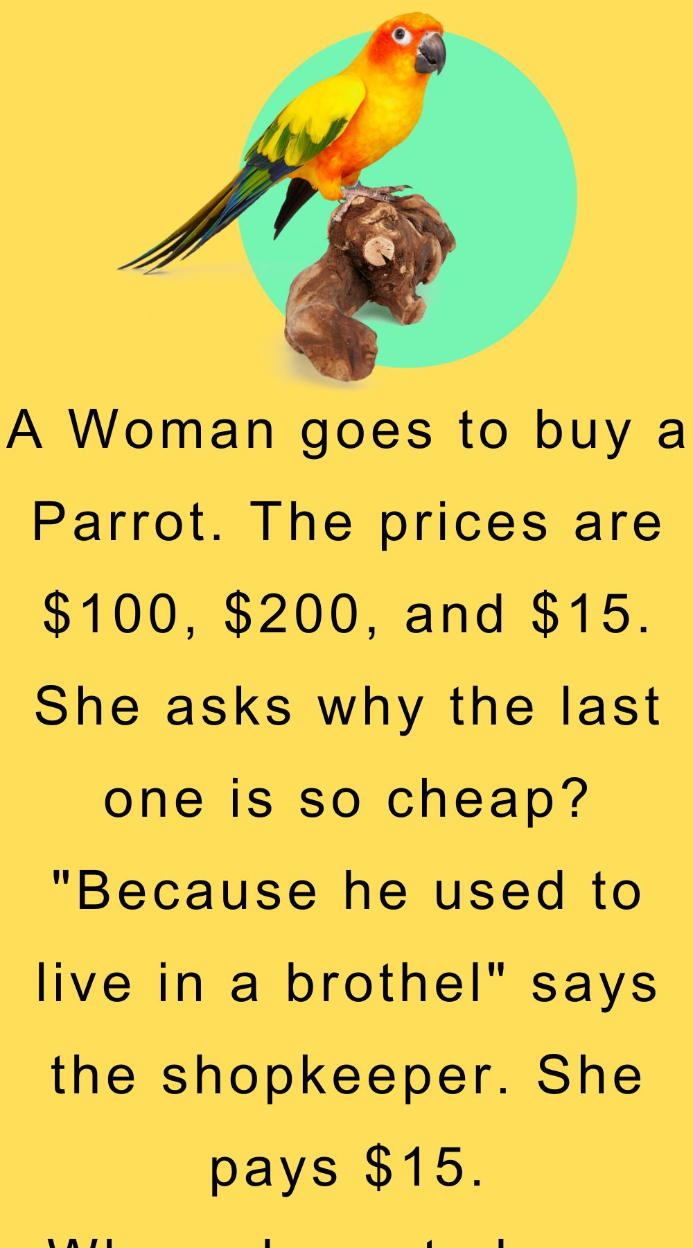 A Woman goes to buy a Parrot