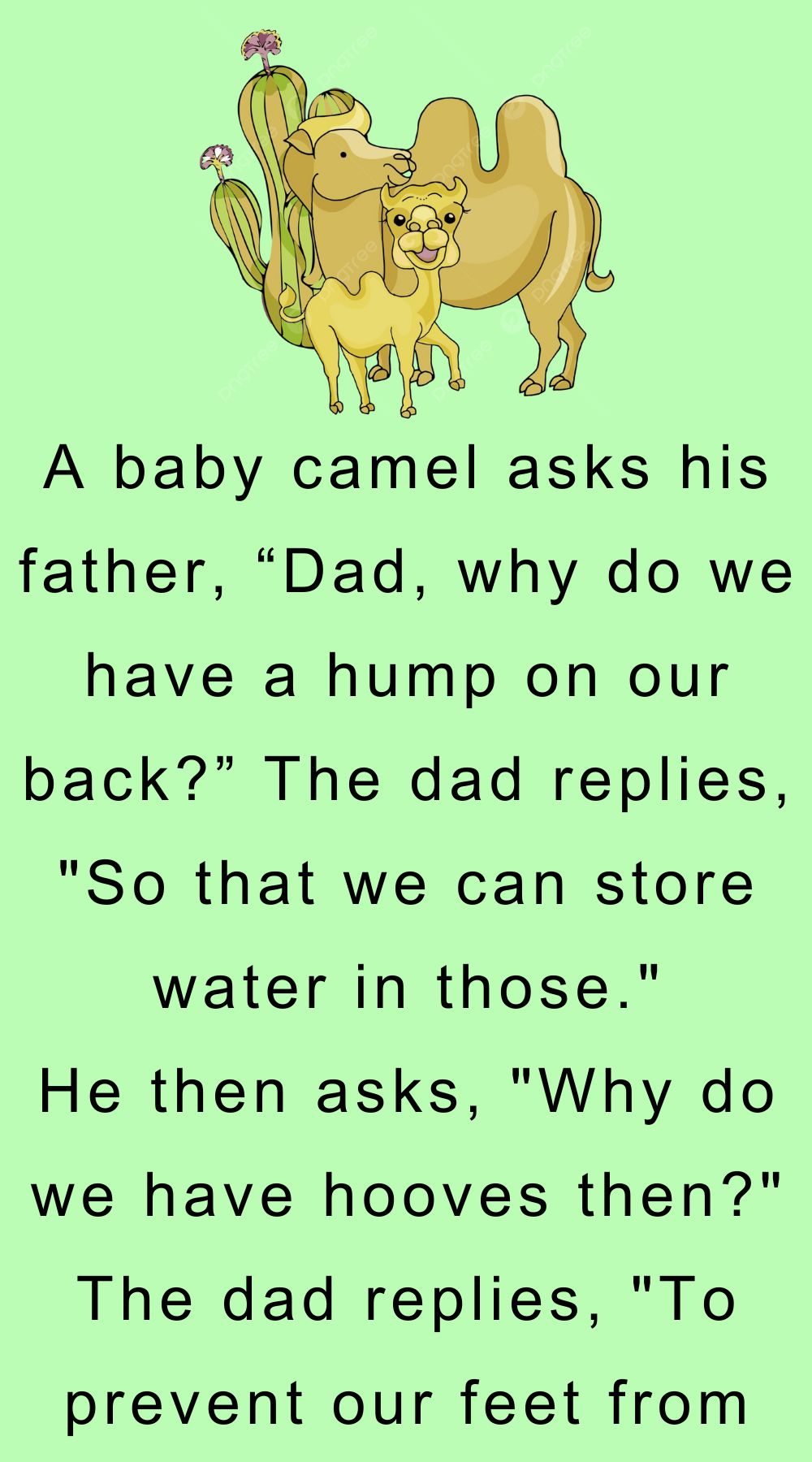 A baby camel asks his father